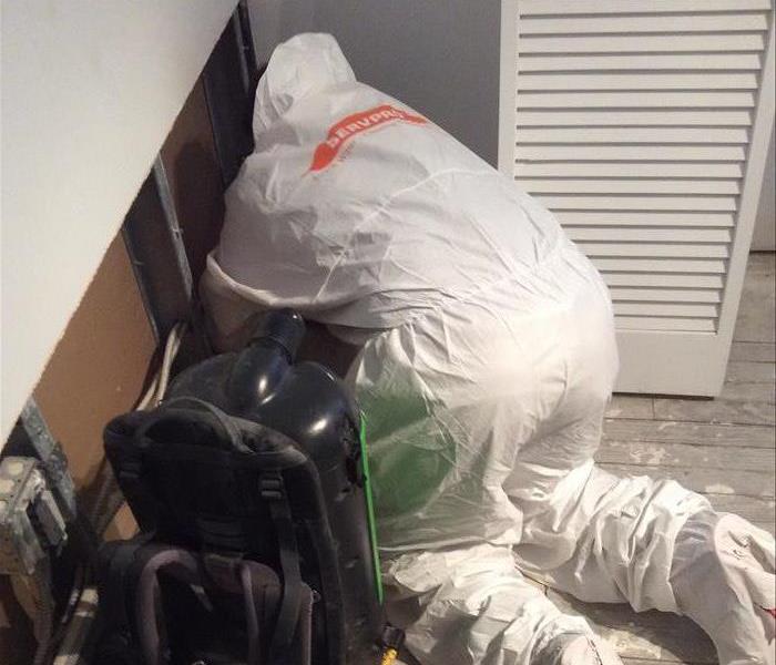 technician in PPE Cleaning mold