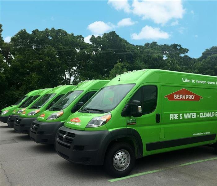 Fleet of green SERVPRO vans