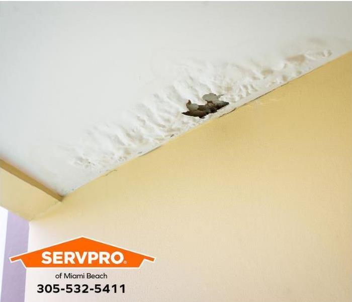 Mold growth is visible on the water-damaged ceiling.
